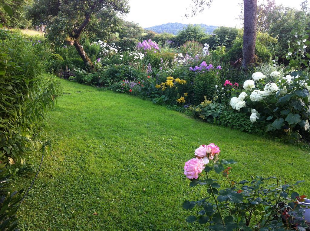 All Seasons Bed & Breakfast Kerpen  Exteriér fotografie
