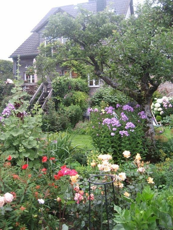 All Seasons Bed & Breakfast Kerpen  Exteriér fotografie